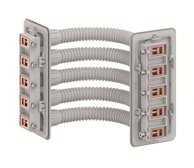 Striebel & John 2CPX052468R9999 Sammelschienenverbinder 1 St.