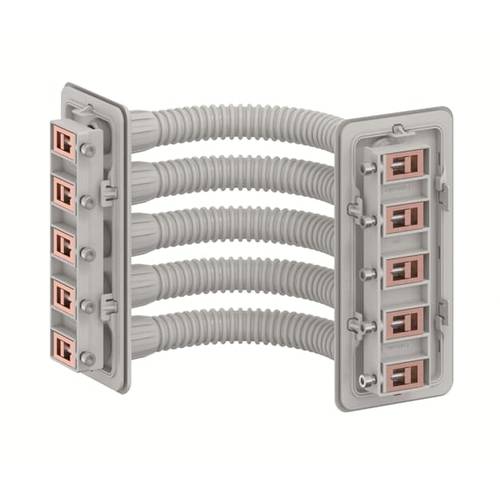 Striebel & John 2CPX052468R9999 Sammelschienenverbinder 1 St.