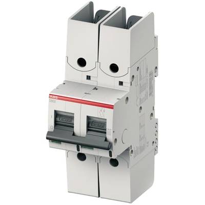 Ein doppelter Leistungsschalter mit rotem und schwarzem Schalter, montiert auf einem weißen Gehäuse, zur Sicherung von elektrischen Stromkreisen.