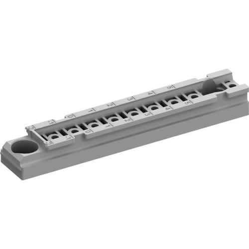 Striebel & John 2CPX010815R9999 Montageleiste 100 St.