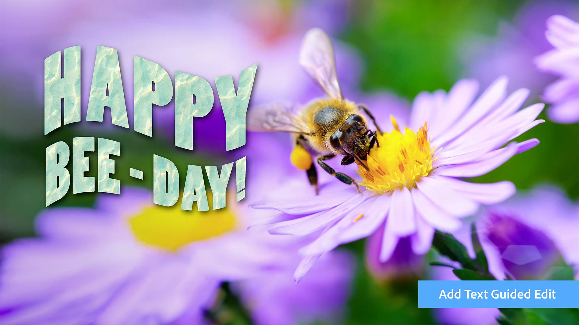 Adobe Photoshop Elements 2024 Deutsch WIN/MAC-2