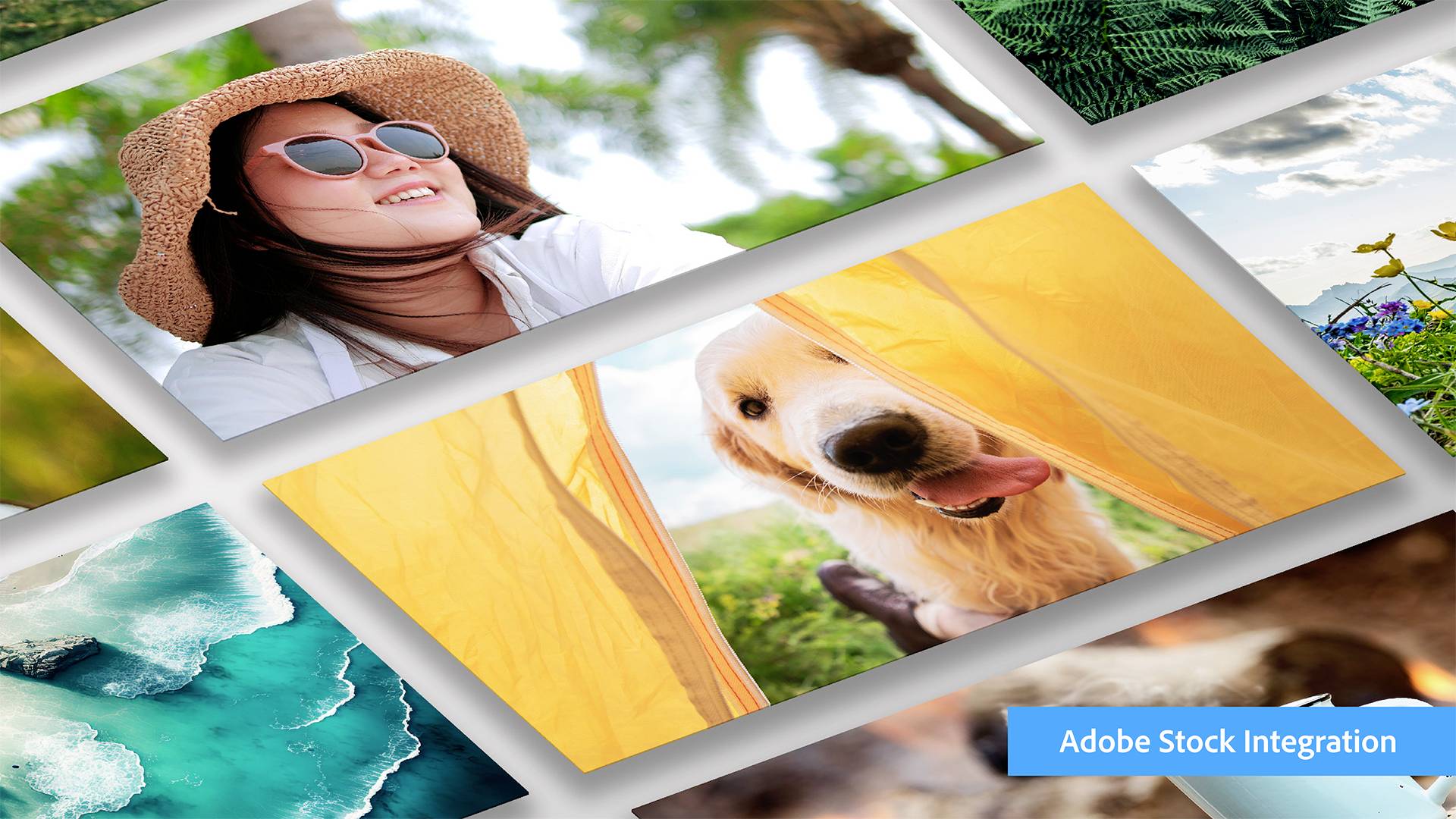 Adobe Photoshop Elements 2024 Deutsch WIN/MAC-3