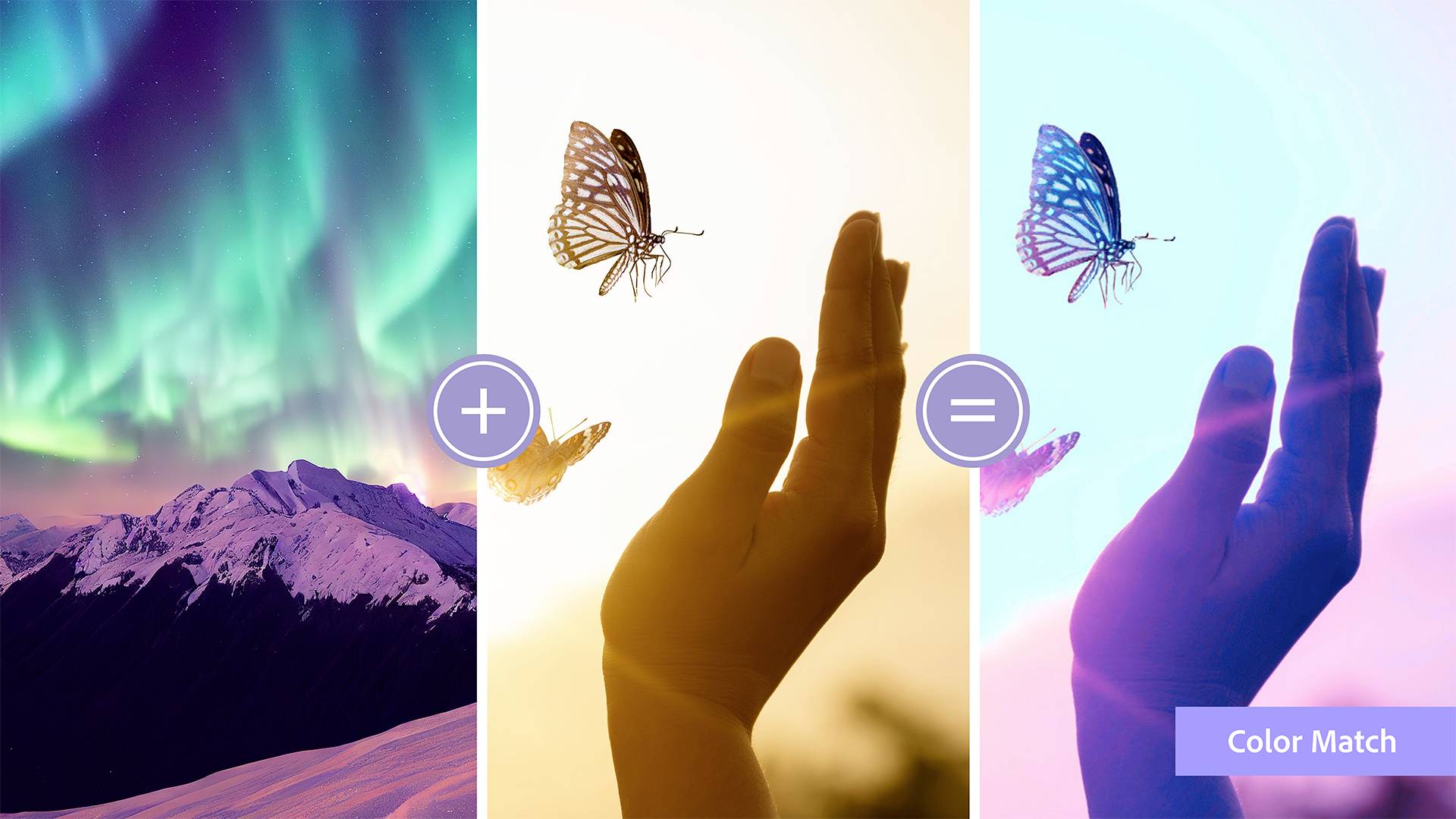 Adobe Premiere Elements 2024, Grafischer Editor, Deutsch, 1 Lizenz(en), Upgrade, Download-2