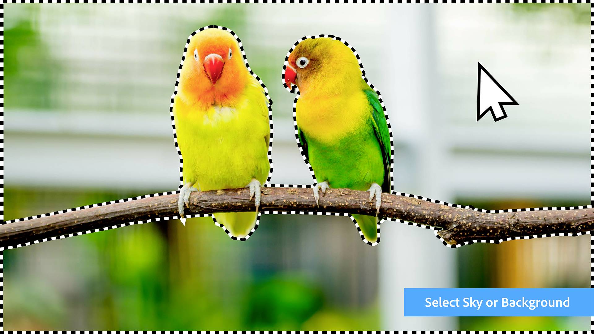 Adobe Premiere Elements 2024, Grafischer Editor, Deutsch, 1 Lizenz(en), Upgrade, Download-9