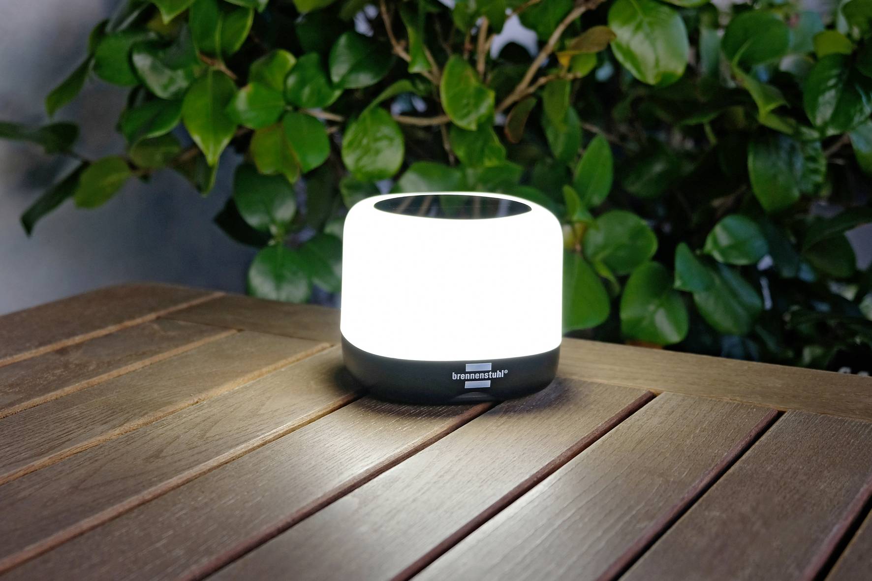Eine leuchtende, runde Lampe steht auf einem Holztisch vor grünen Blättern.