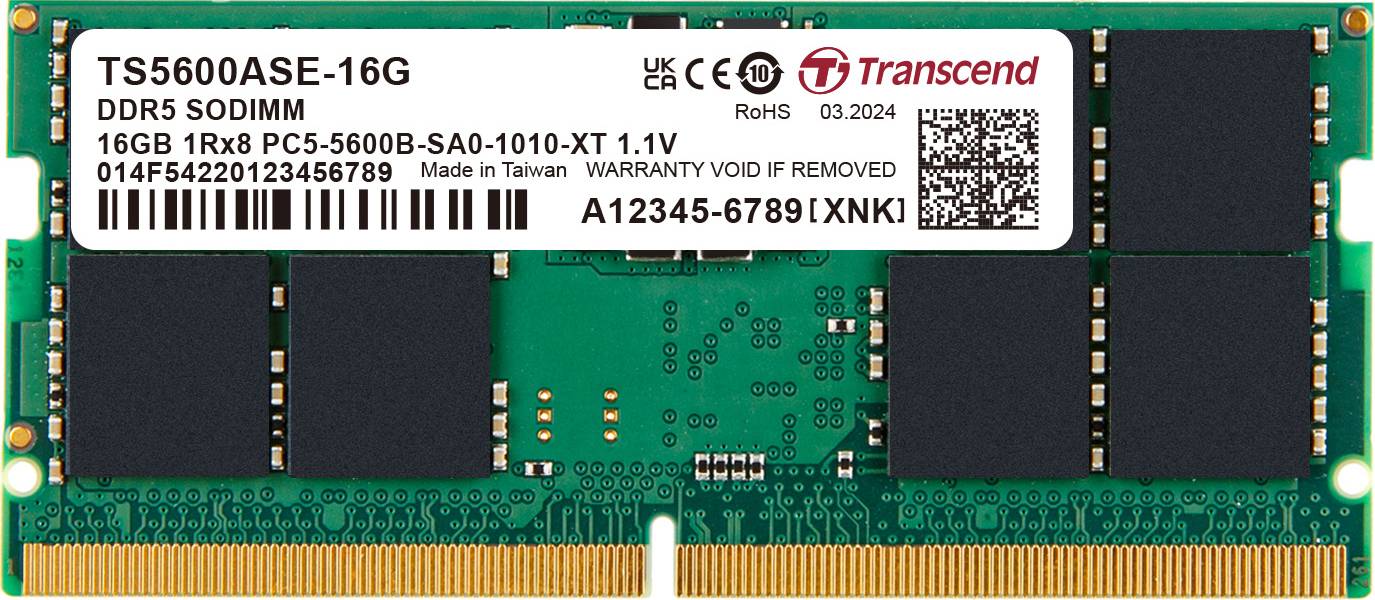 TRANSCEND TS5600ASE-16G 16GB