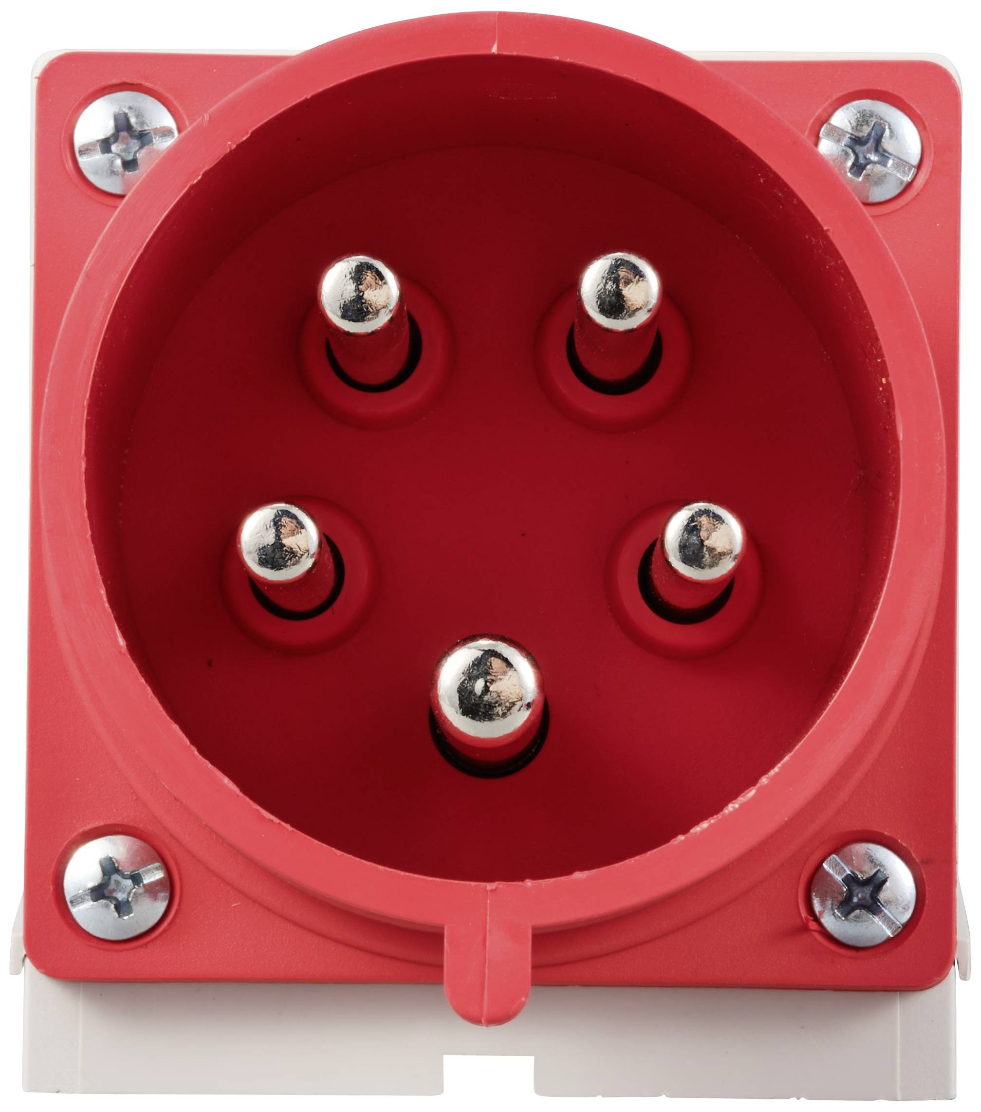 Rote Industriesteckdose mit fünf runden Metallkontakten, befestigt mit vier Schrauben in den Ecken.