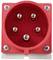 Rote Industriesteckdose mit fünf runden Metallkontakten, befestigt mit vier Schrauben in den Ecken.