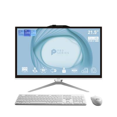 MSI All-in-One PC PRO AP222T 13M-220DE 54.6 cm (21.5 Zoll) Full HD Intel® Core™ i3 i3-13100 8 GB RAM 256 GB SSD Win 11 P