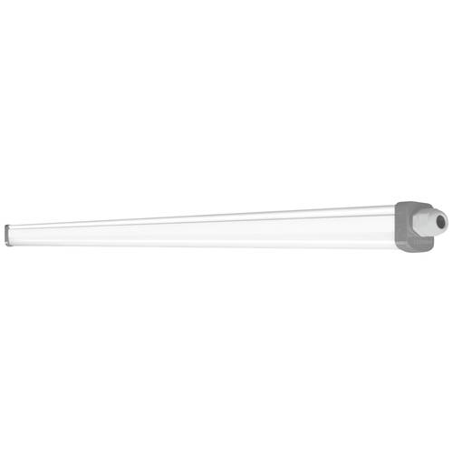 LEDVANCE DP SLIMVALUE 1500 50W-6500K IP65 LEDV LED-Feuchtraumleuchte LED 50 W Kaltweiß Weiß