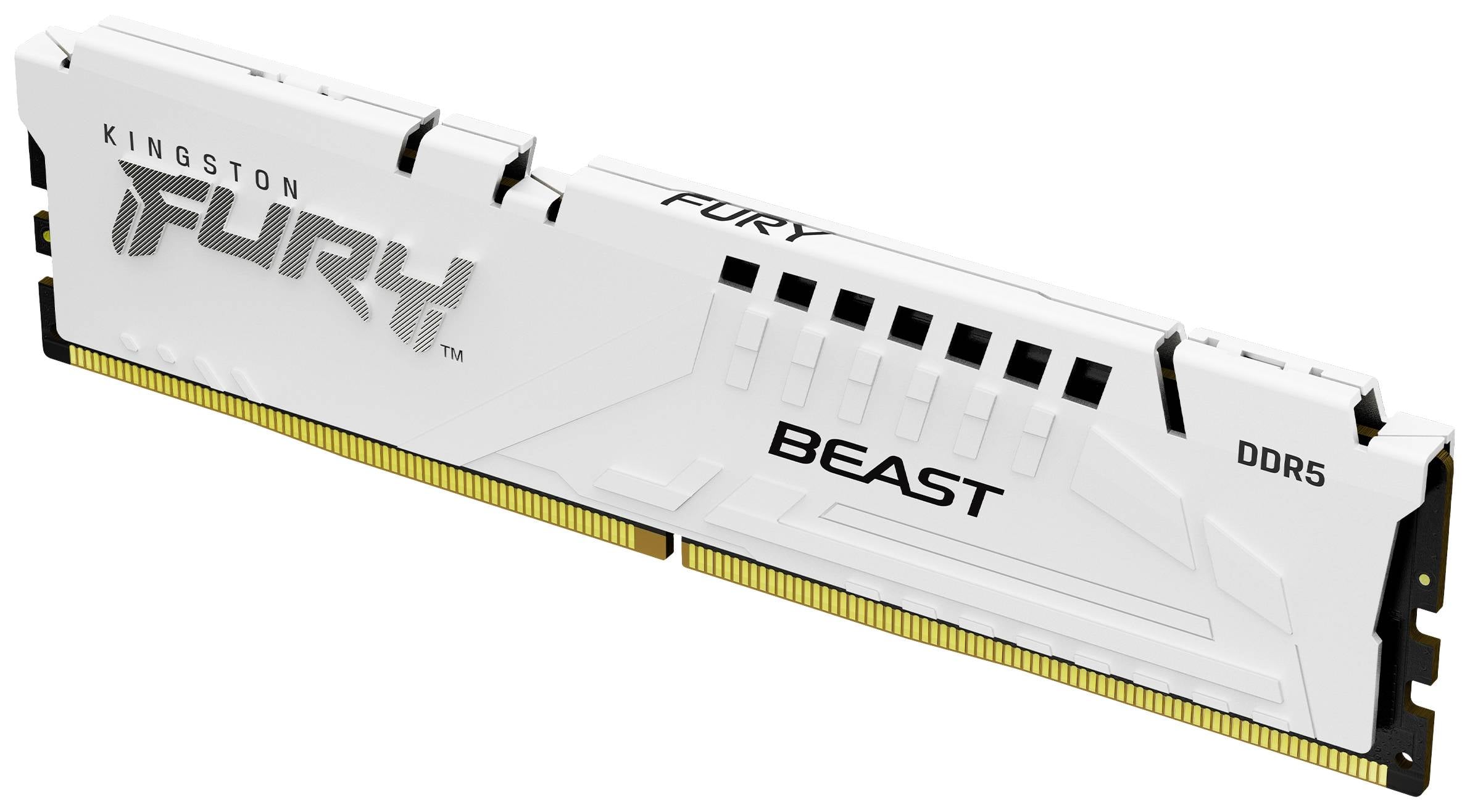 Kingston CL30 FURY Beast EXPO PC-Arbeitsspeicher Modul DDR5 16 GB 1 x 16 GB Non-ECC 288pin DIMM CL30 KF560C30BWE-16