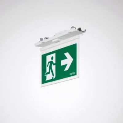 Notausgangsschild mit grünem Hintergrund; zeigt Piktogramm einer Person, die rechts einen Pfeil in Fluchtrichtung verfolgt.