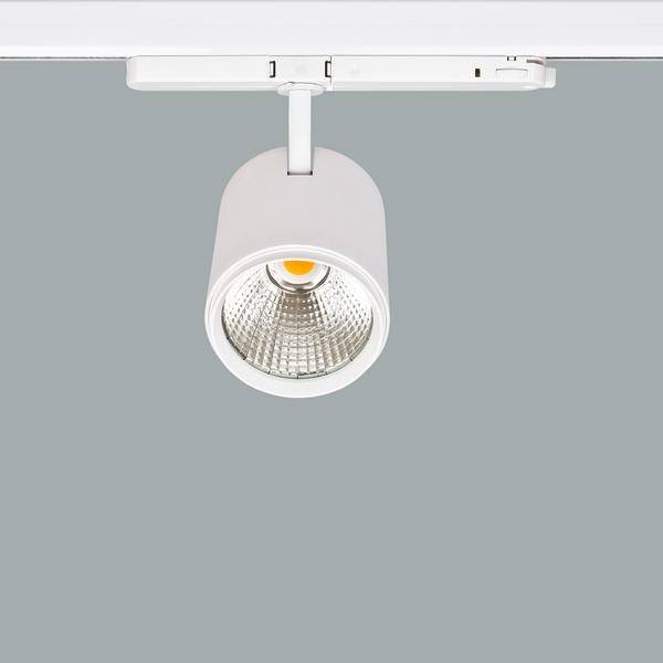 Eine weiße Deckenstrahler-Lampe an einer Schiene, leuchtet nach unten. Moderner, minimalistischer Stil, geeignet für Innenbeleuchtung.