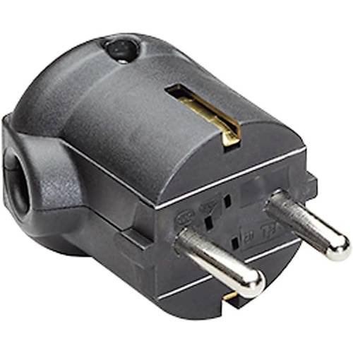 Bachmann 911276 Schutzkontakt-Winkelstecker Mehrfarbig