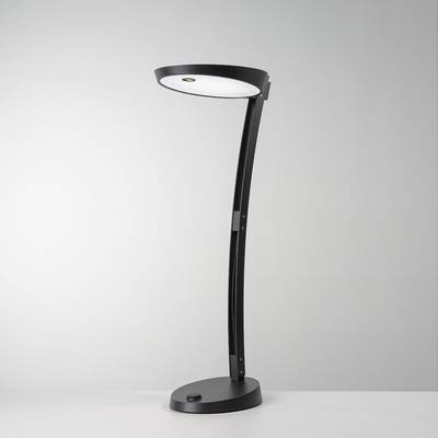 Eine schwarze, moderne Schreibtischlampe mit gebogenem Arm steht auf einem grauen Hintergrund.