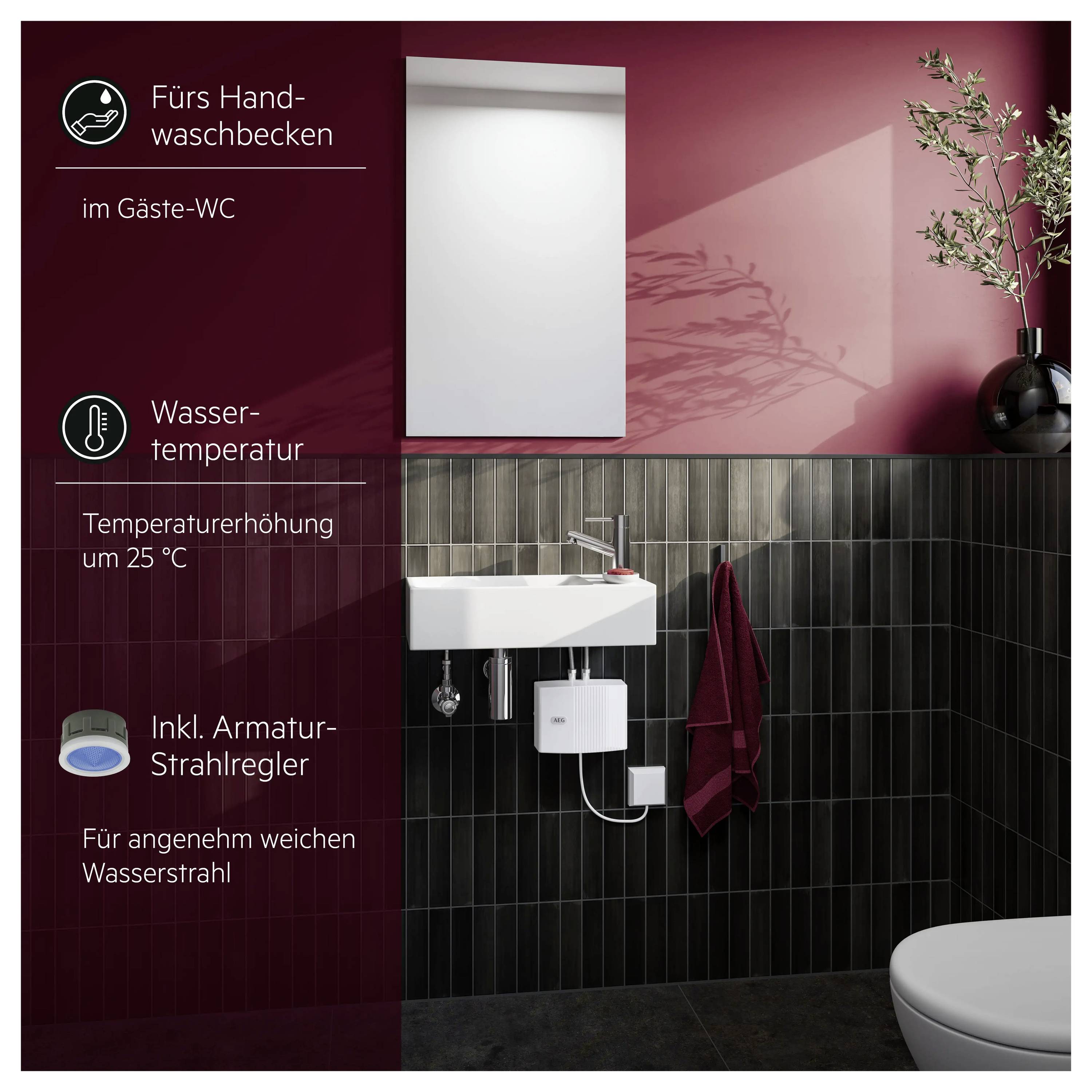 Waschbecken im Gäste-WC mit Spiegel und Wasserhahn. Hintergrund in Rot und Schwarz. Dekoration: Pflanze, Handtuch hängt links.