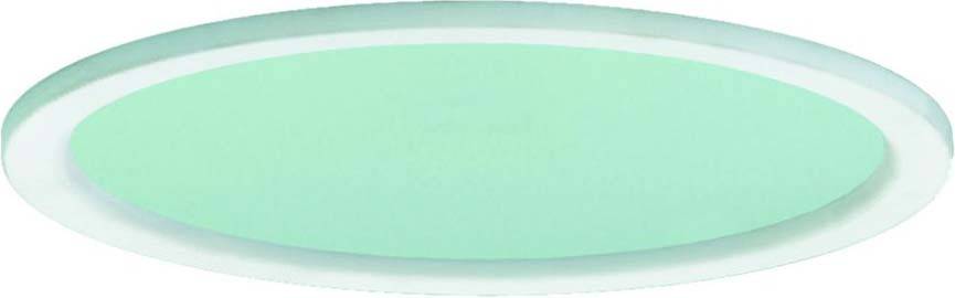 RIDI 204885 Microprismenscheibe 204885 1 St.