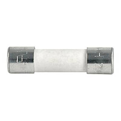 Zylindrische Glasrohrsicherung mit Metallkappen an beiden Enden; für elektrische Anwendungen geeignet.
