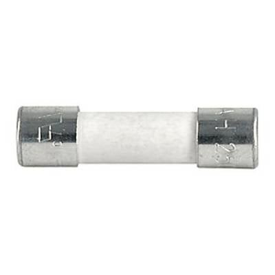 Eine kleine, zylindrische, keramische Sicherung mit Metallkappen an beiden Enden, geeignet zur Überstromschutz in elektronischen Geräten.