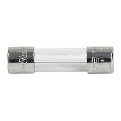Glassicherung mit Metallendkappen, horizontal positioniert. Hauptkomponente in elektrischen Geräten zum Schutz vor Überlastung.