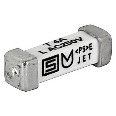 Sicherung mit Bezeichnung 'T4A LAC250V'. Zylindrische Form mit metallischen Enden.