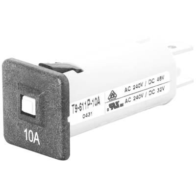 'Sicherung T9-611P-10A', rechteckige Form, mit Aufschrift '10A', für AC 240V/DC 48V und AC 240V/DC 32V. Schwarzes Gehäuse.