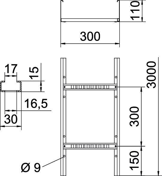 Technische Zeichnung eines Regals mit Maßen: Breite 300 mm, Höhe 3000 mm, Tiefe 110 mm. Seitenansicht zeigt Querschnitt und Schienenabstände.