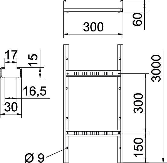'Technische Zeichnung eines Regals mit Abmessungen: Breite 300 mm, Höhe 3000 mm, Tiefe 17 mm. Detailansicht einer Strebe.'