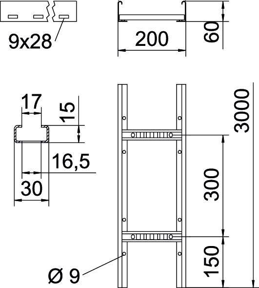 Technische Zeichnung eines Leiterprofils mit Maßen: Höhe 3000 mm, Breite 300 mm, Sprosse Ø 9 mm, Sprossenabstand 300 mm.