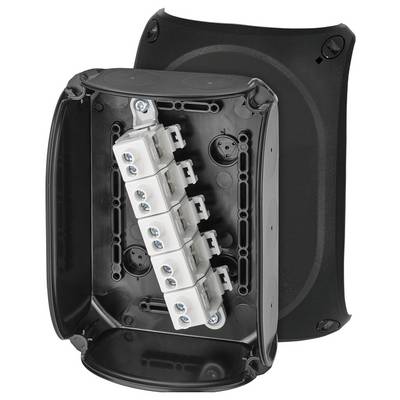 Elektrische Verteilerdose in Schwarz, geöffnet mit sichtbaren Schraubverbindungen und Anschlussmodulen im Inneren.