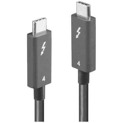 Zwei USB-C-Kabel mit Thunderbolt-Logo und der Zahl '4', geeignet für schnelle Datenübertragungen zwischen Geräten.