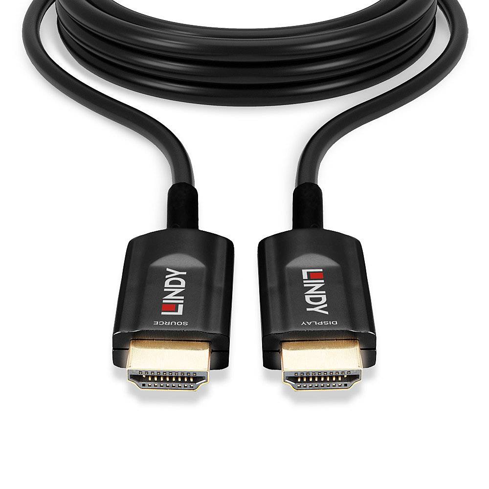 Schwarzes HDMI-Kabel mit goldenen Anschlüssen, Beschriftungen: 'Source' und 'Display' auf den Steckern.
