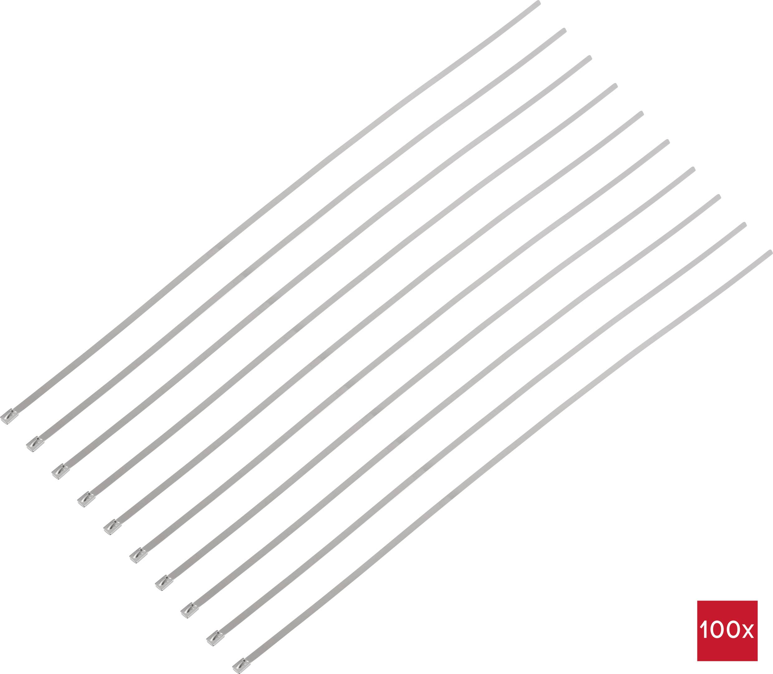 Elf silberne Kabelbinder auf weißem Hintergrund, unten rechts rotes Quadrat mit '100x', bedeutet Packungsinhalt.