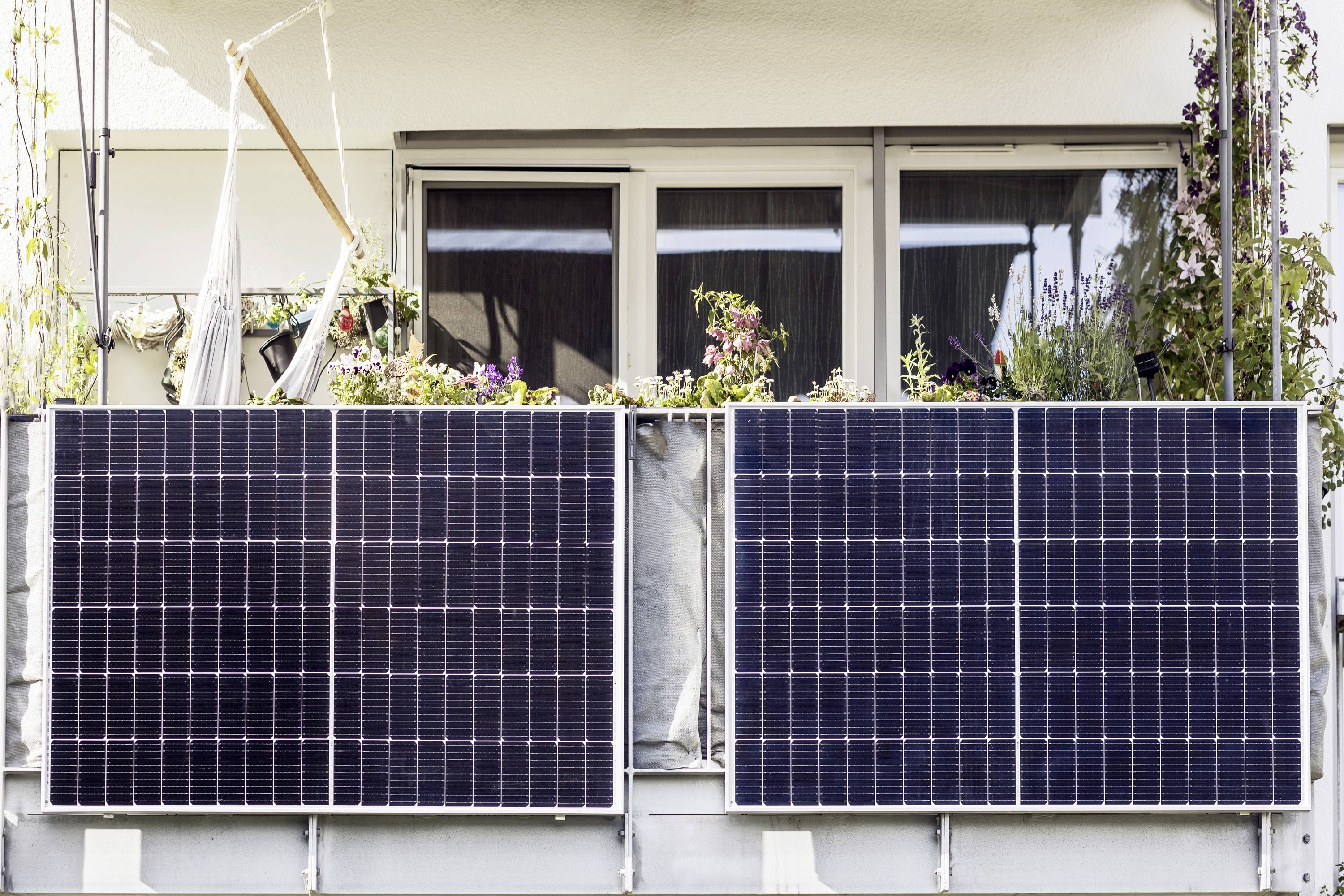 Zwei Solarpanels an einem Balkon vor Fenstern, umgeben von Pflanzen und Blumen.
