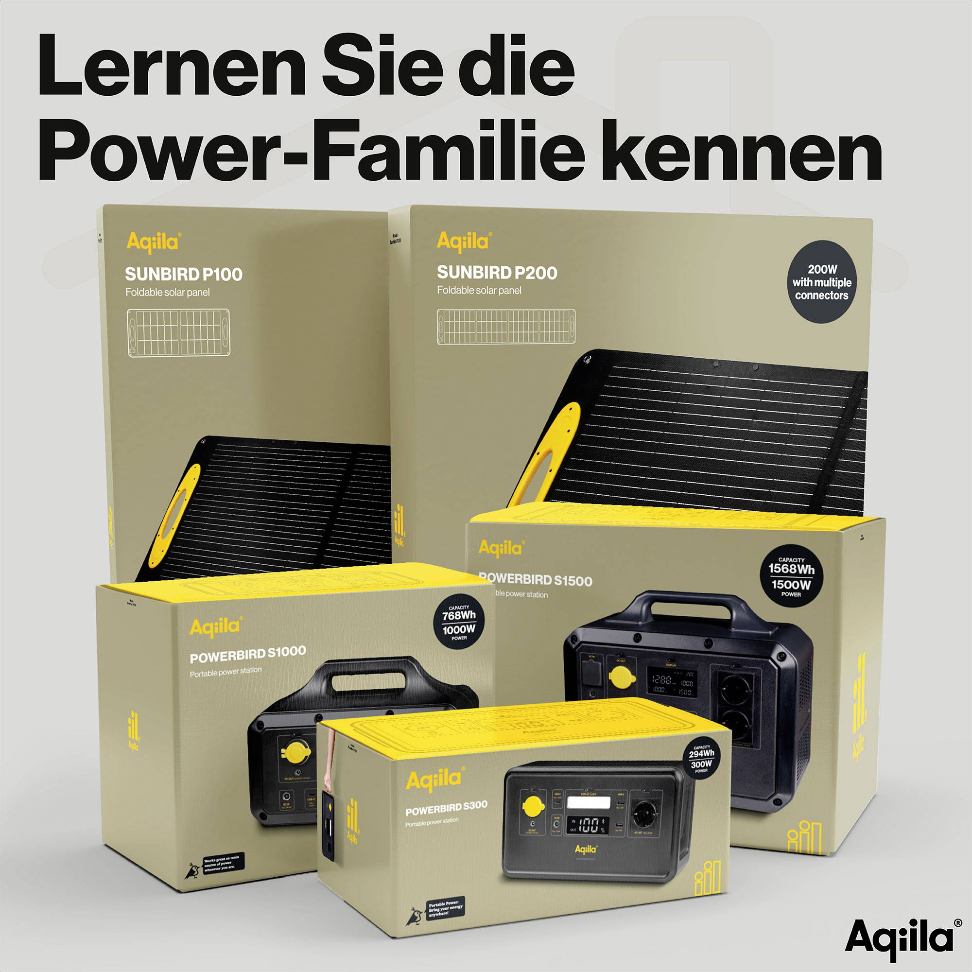 Produktfamilie von Aquila mit Solarzellen und Stromgeneratoren. Hauptprodukte: Sunbird P100, P200, Powerbird S1000, S1500, S200.