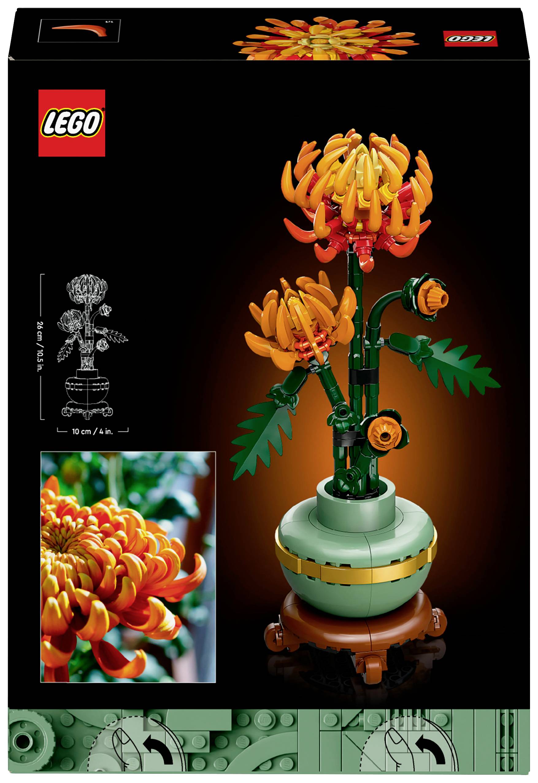 LEGO-Set-Verpackung zeigt eine Chrysanthemenblume aus Bausteinen, orange und grün, in einem Topf. Links eine Detailansicht der Blüte.