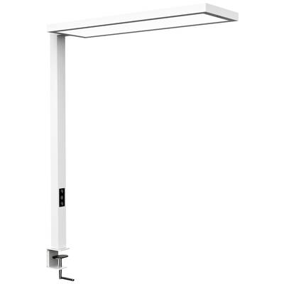 Eine weiße, moderne Schreibtischlampe mit rechteckigem Lampenschirm und verstellbarer Höhe. Sie ist mit einer Schraubklemme befestigt.