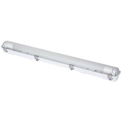 LED-Leuchte in einem länglichen, transparenten Gehäuse, geeignet für industrielle Anwendungen oder Feuchträume.