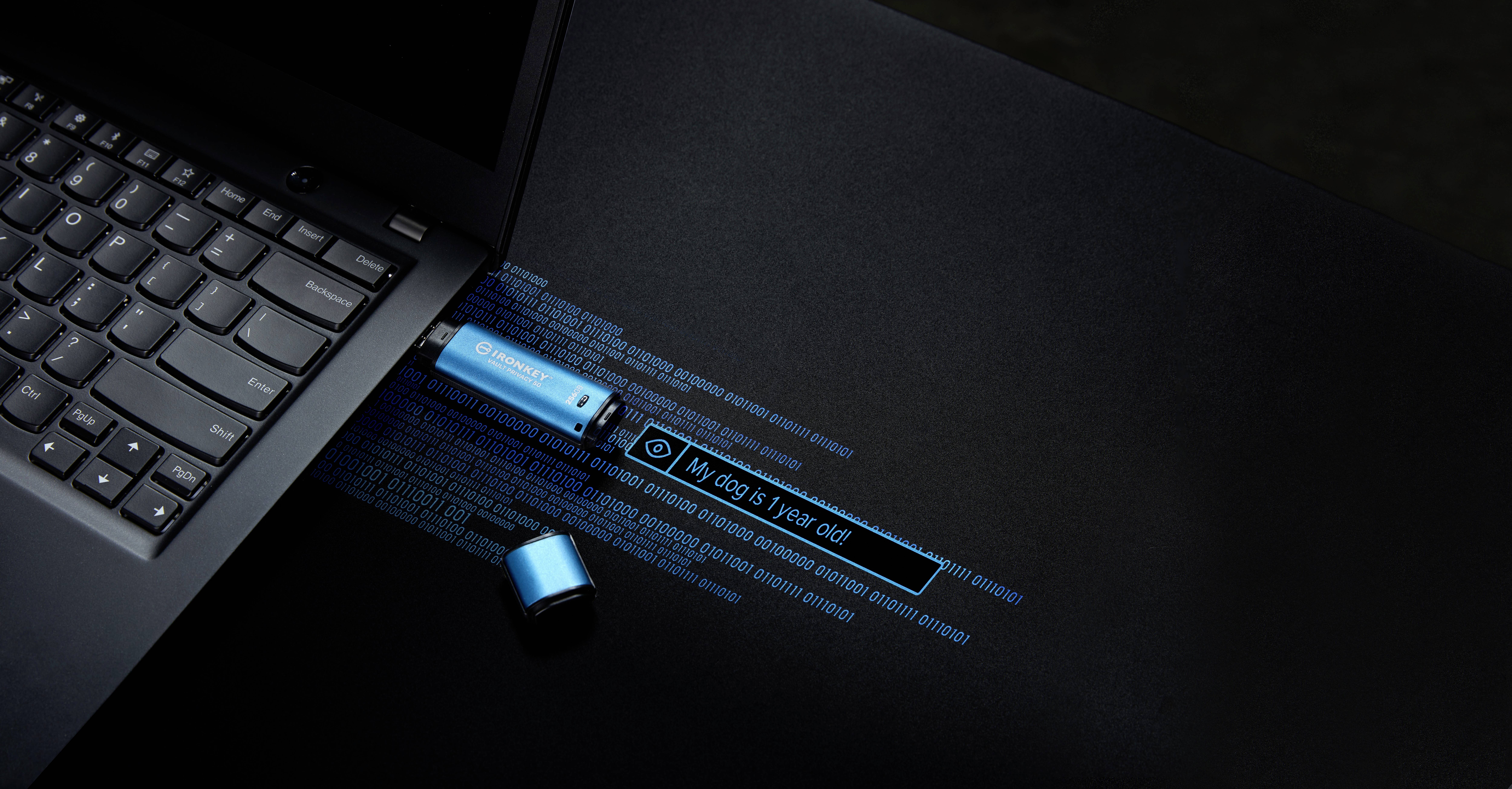 Kingston IronKey Vault Privacy 50 Series - USB-Flash-Laufwerk-13