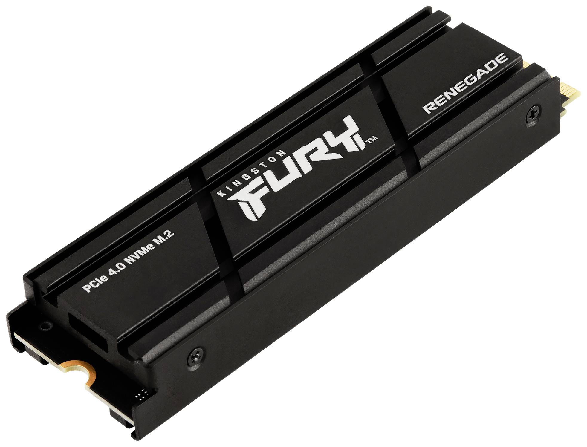 Eine Kingston FURY Renegade PCIe 4.0 NVMe M.2 SSD, schwarz, mit der Aufschrift 'FURY' und 'RENEGADE'. Hochgeschwindigkeitsdatenspeicher.
