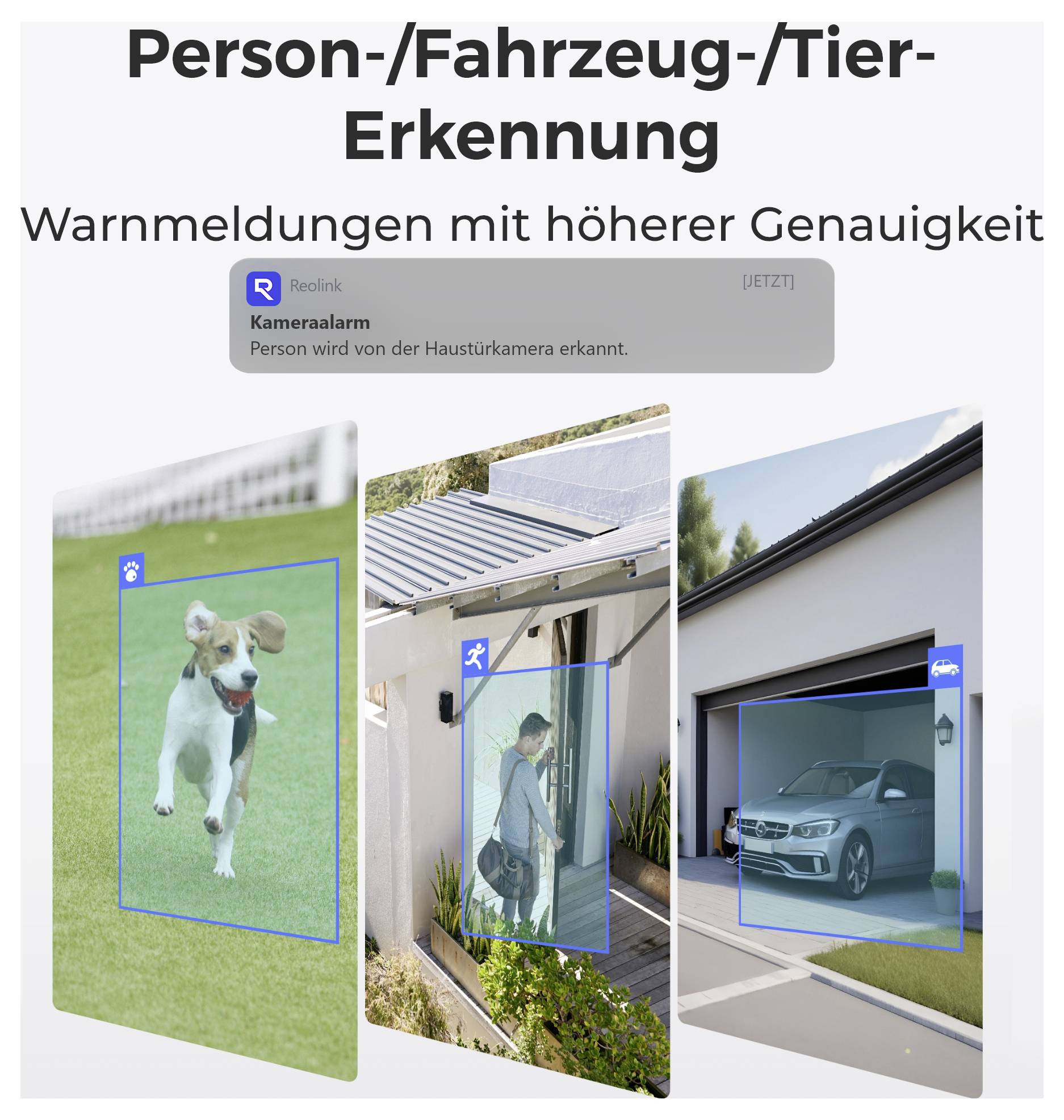 Personen-/Fahrzeug-/Tier-Erkennung<br><br>Intelligente Sicherheitszonen mit präziser Objekterkennung:<br>- Hund erkannt<br>- Person identifiziert<br>- Fahrzeug detektiert<br><br>Maximale Sicherheit durch smartes Monitoring und differenzierte Alarme.