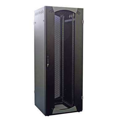 Schneider Electric NSYVDS42U610N 19 Zoll 19 Zoll Serverschrank
