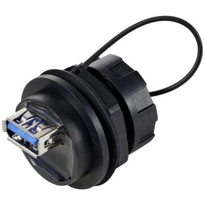 'Schwarzer USB-Anschluss mit blauem Innenleben, montierbar durch eine Buchse, mit Befestigungskabel. Geeignet für technische Anwendungen.'