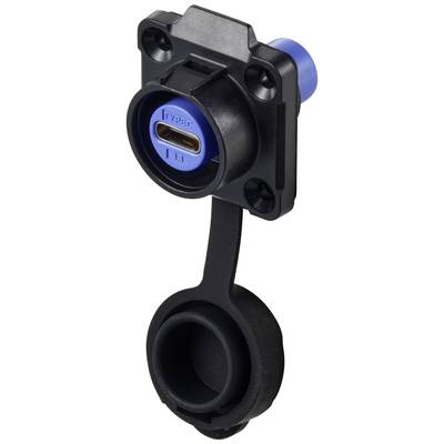 Ein USB-Typ-C-3.1-Anschluss in einem schwarzen Gehäuse mit blauer Innenkomponente und einer abnehmbaren Schutzkappe darunter.