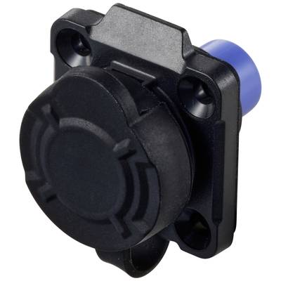 Ein schwarzer, quadratischer Kunststoffstecker mit vier Schraubenlöchern und einem blauen Anschluss auf der Rückseite.