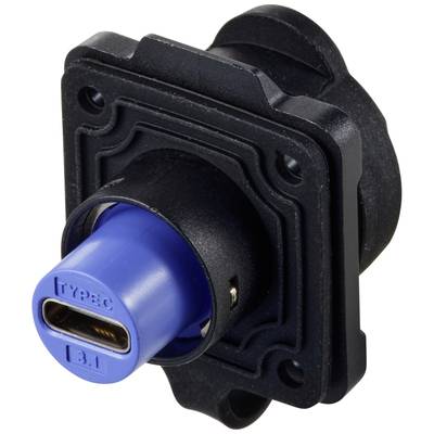 Schwarzer USB-C 3.1-Steckverbinder in einer rechteckigen Fassung mit blauem Innenleben, geeignet für industrielle Anwendungen.