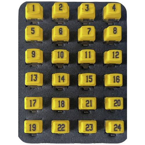 Remote Identifier 226581 Softing PD_RK224 Netzwerk