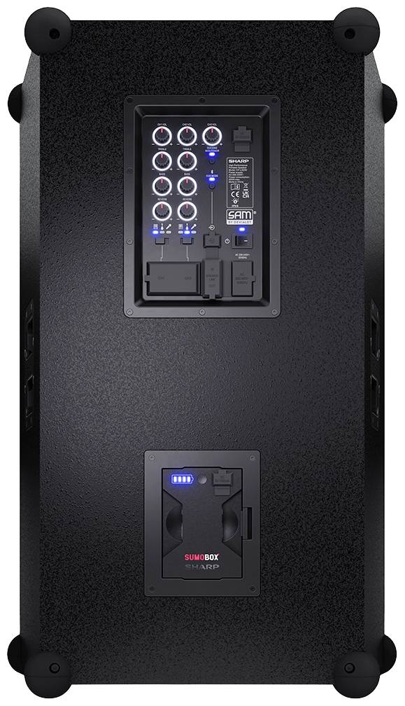 Schwarze Lautsprecherbox mit Bedienelementen und Anschlüssen. Oben befinden sich mehrere Drehregler und LED-Anzeigen. Unten ein Netzeingang mit Schalter.