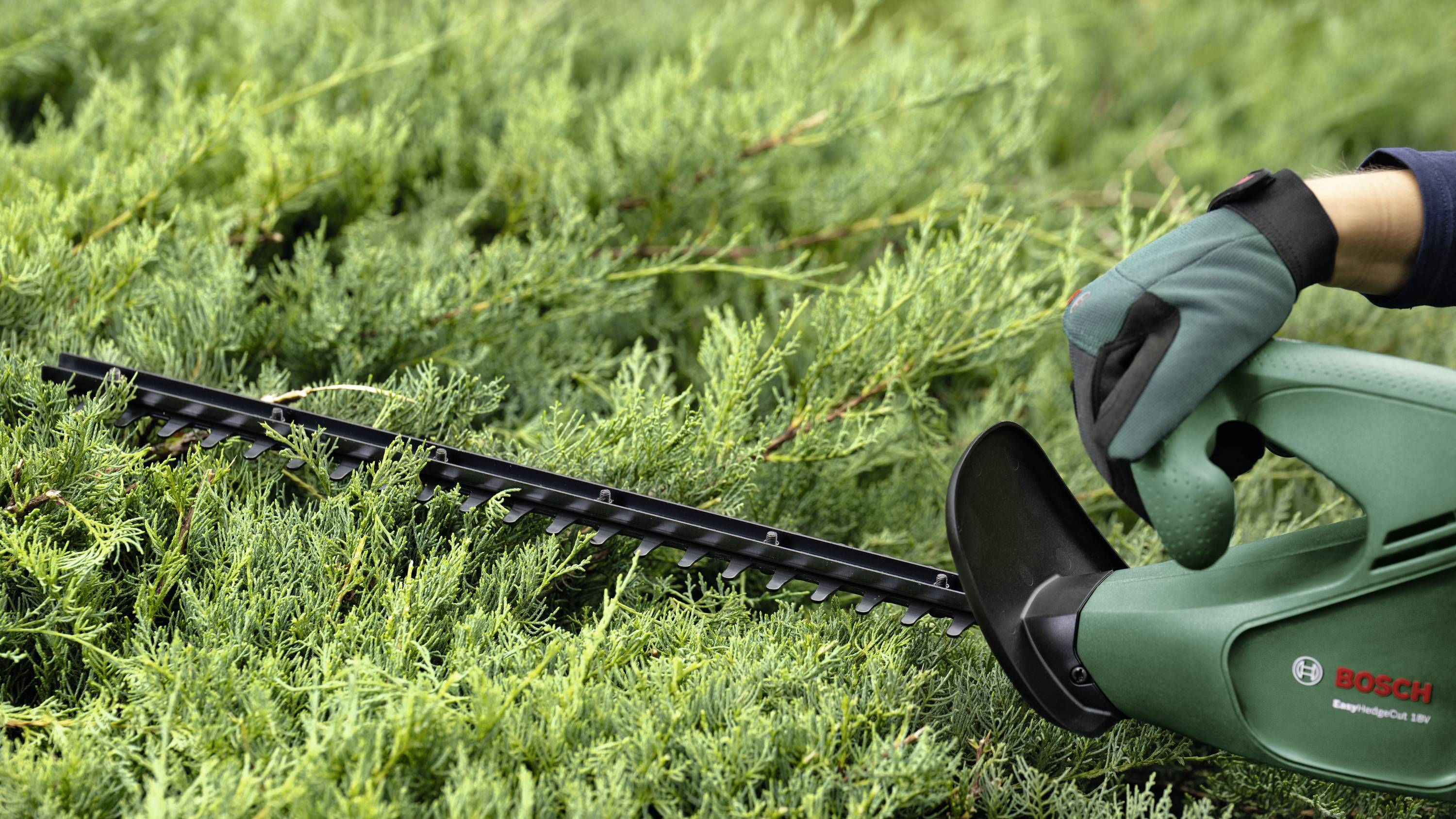 Eine Person mit Handschuhen schneidet eine Hecke mit einer elektrischen Heckenschere. Im Vordergrund sind grüne Zweige zu sehen.