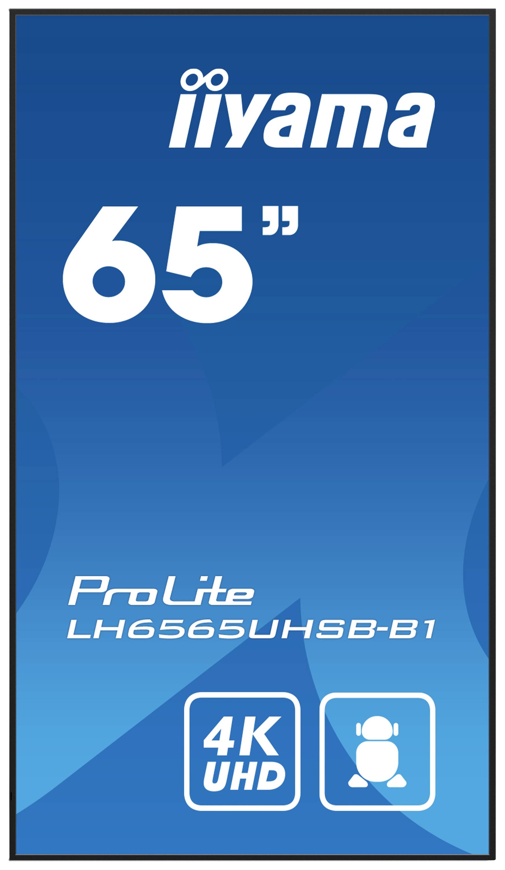 Ein blauer Bildschirm zeigt die Marke 'iiyama', die Größe '65"', das Modell 'ProLite LH6565UHSB-B1' und die Spezifikation '4K UHD'.